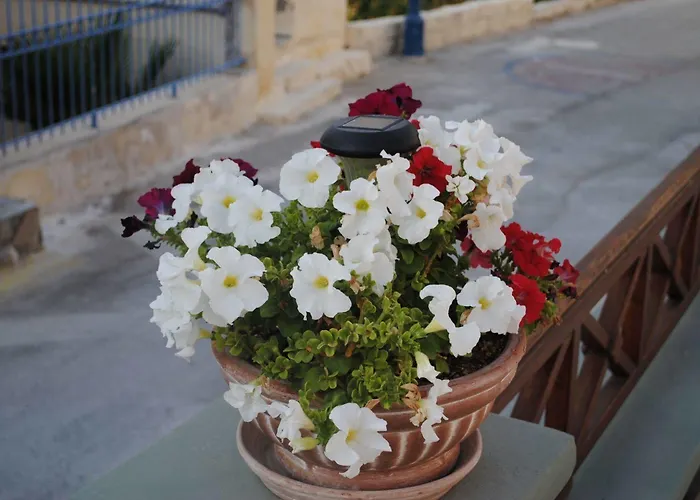 فندق شيتس صوفي